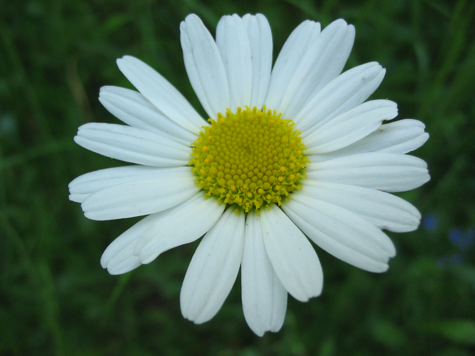 061